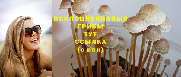 прущая мука Нефтегорск