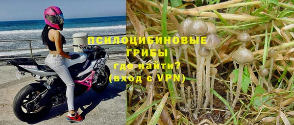 прущая мука Нефтегорск