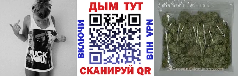 Купить где  Углич  МАРИХУАНА Amnesia 
